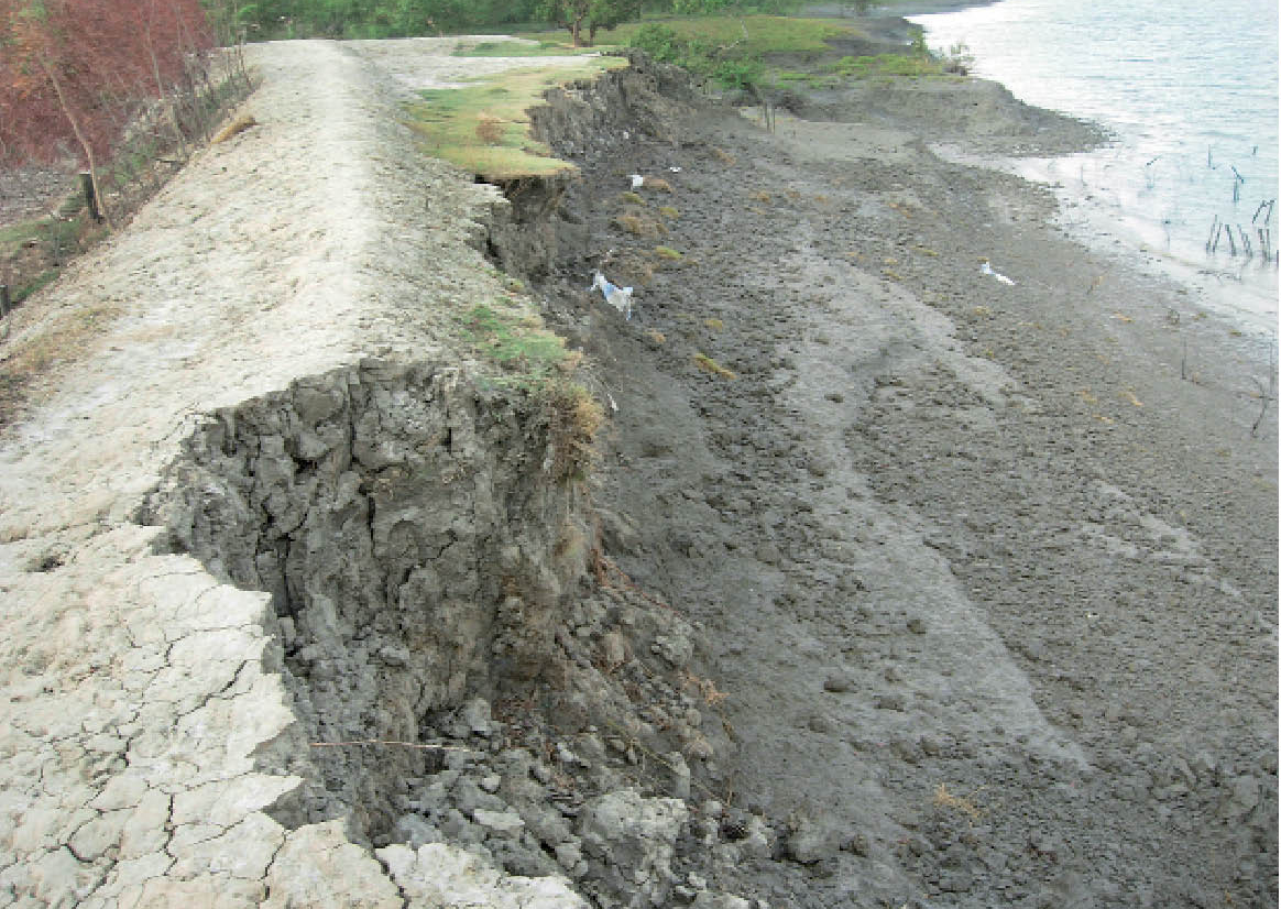 Embankments of Sunderban